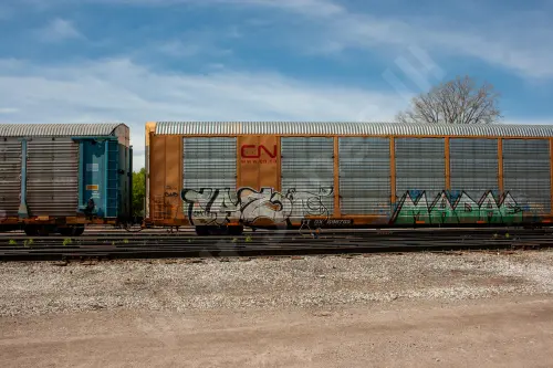 TTGX696705