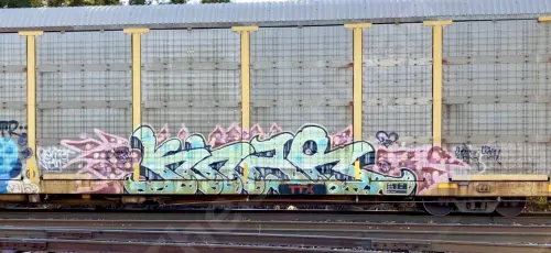 TTGX994006