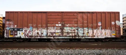 UP369149