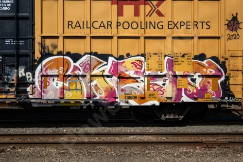 TBOX664508