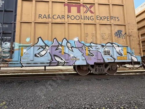 TBOX664351