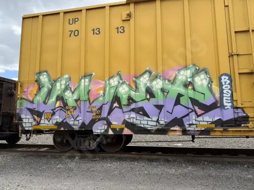 UP701313