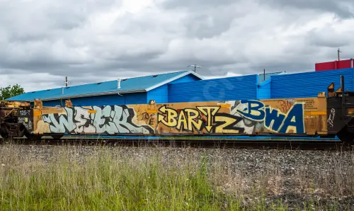 DTTX73311