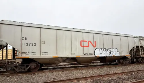 CN112733