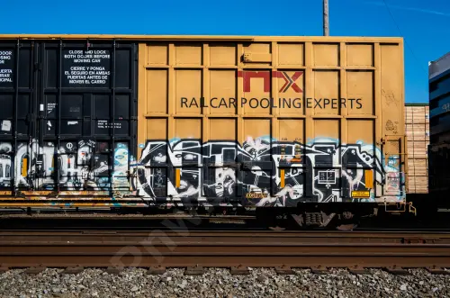 TBOX638909