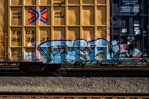 TBOX663837