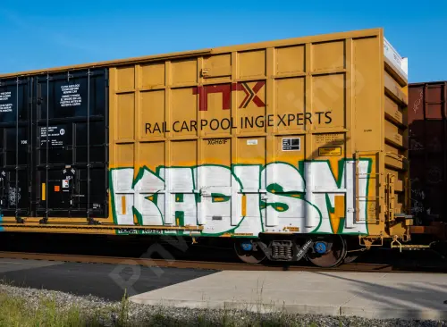 TBOX635404