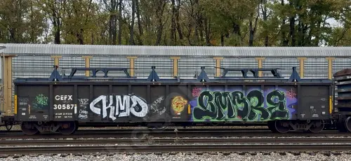 CEFX30587