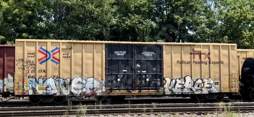 TBOX662271