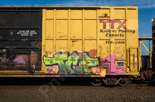 FBOX505007