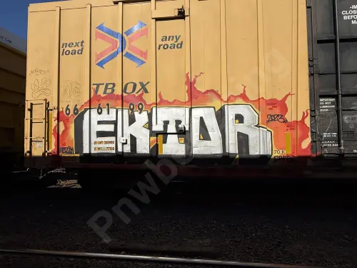 TBOX666199