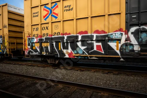 TBOX638920
