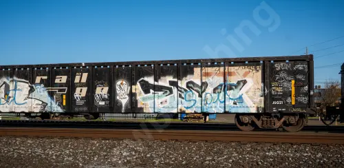 GNTX290056