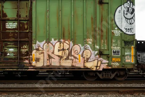 IBT19162