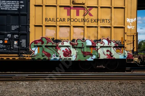 TBOX673304