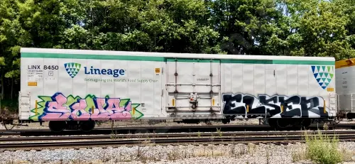 Train photo