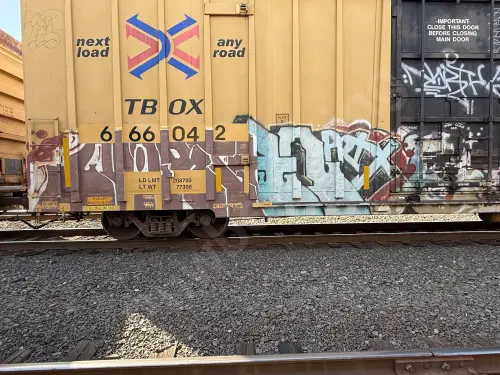 TBOX666042