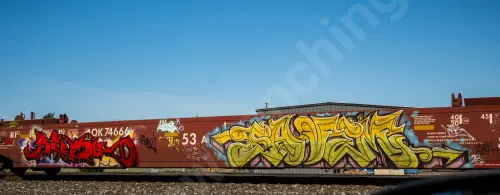 AOK74666