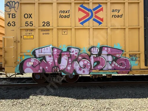 TBOX635528
