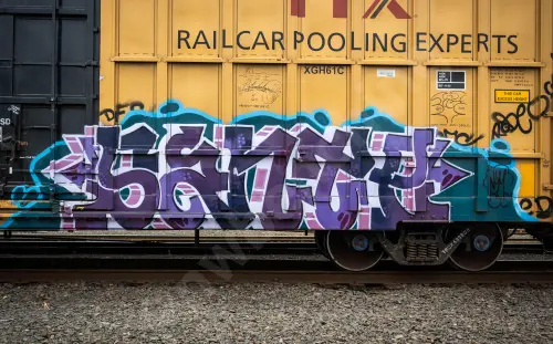 TBOX633808