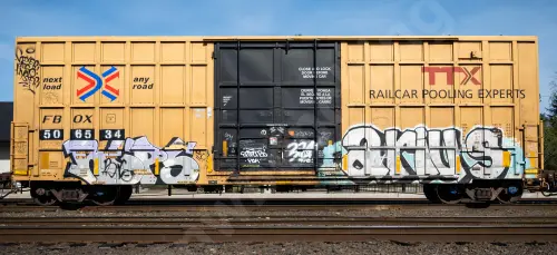 FBOX506534