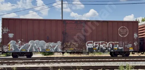 MP269031
