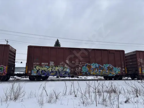 UCRY86309