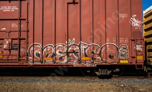 AOK41183