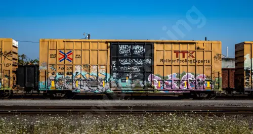 FBOX505557