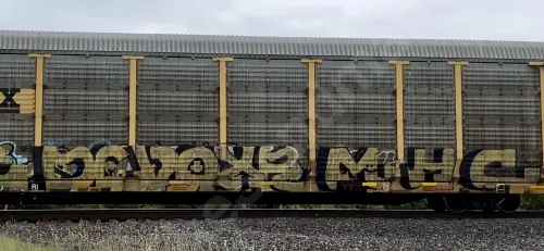 TTGX974779