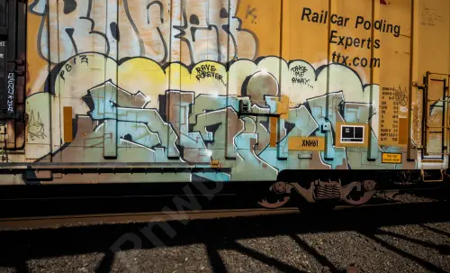 TBOX666441