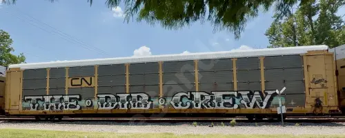 CN704307