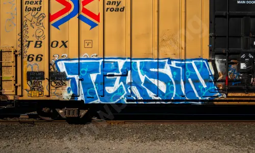 TBOX663206