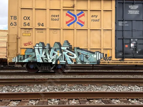 TBOX635494