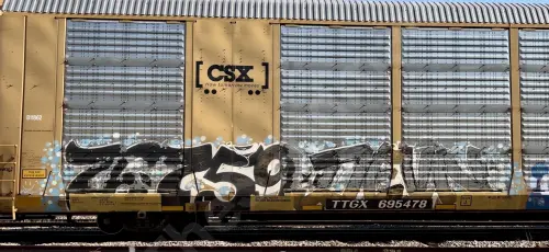 TTGX695478