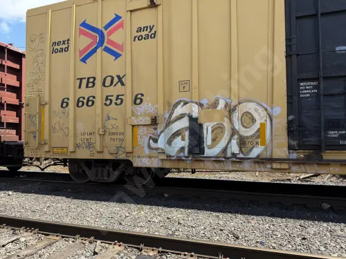 TBOX666556