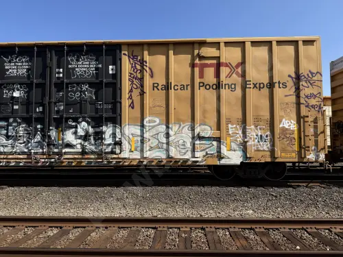 TBOX663716