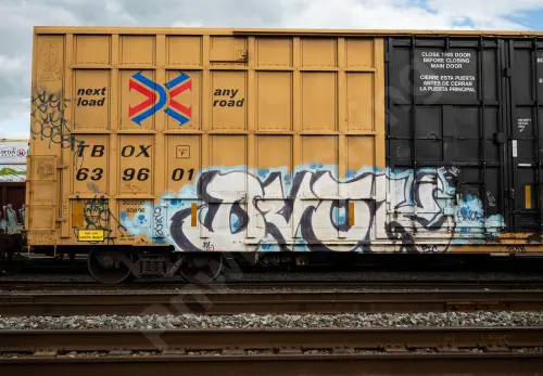 TBOX639601