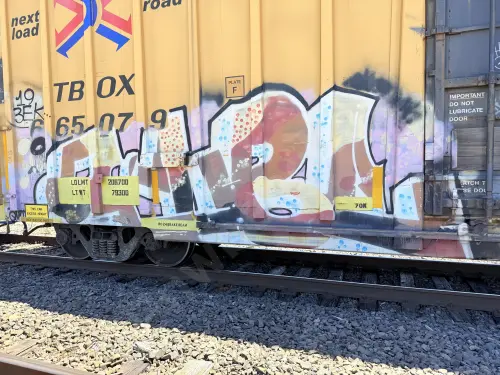 TBOX665079