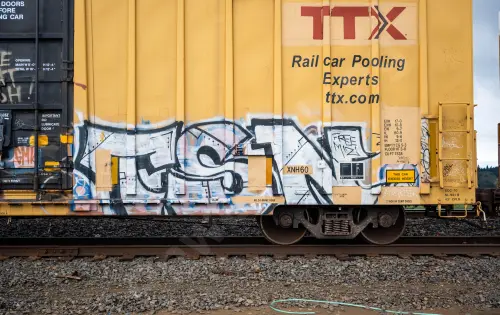 TBOX666695