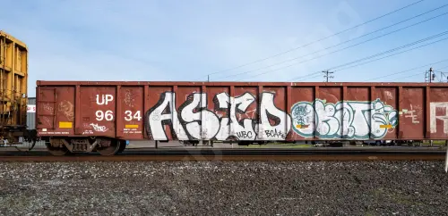 UP96345