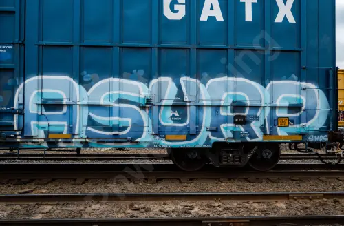 LRS137290