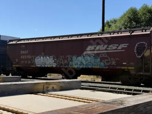 BNSF485119