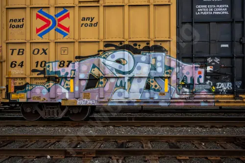 TBOX641087