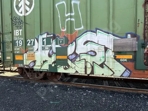 IBT19271