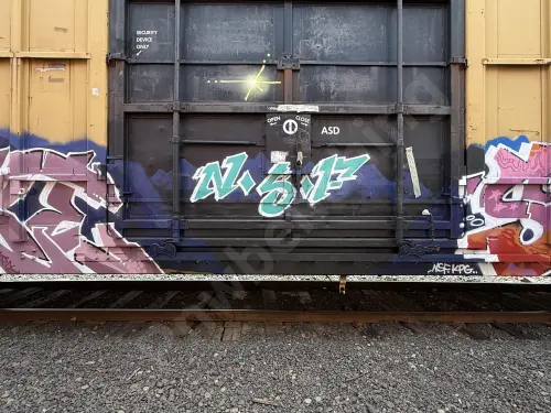 FBOX504079