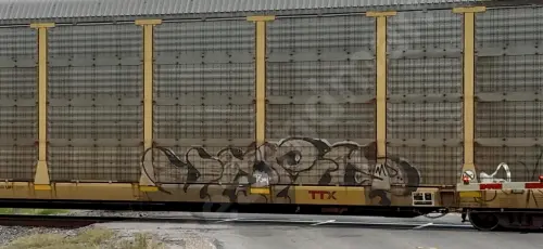 ETTX700601