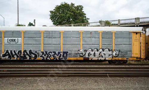 TTGX965420