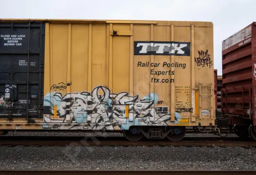TBOX666407