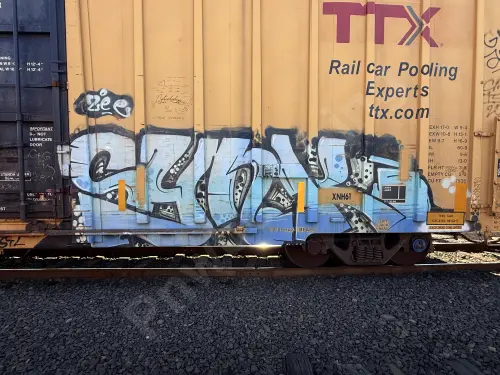 TBOX666441